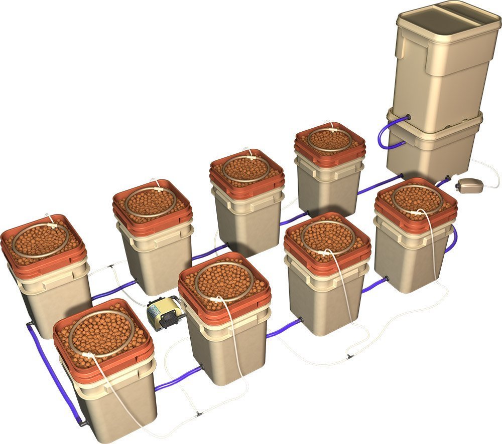 The 4 Best Hydroponic Systems for Marijuana & Other Plants