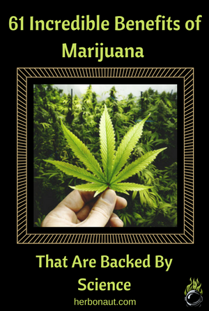 East Bay Cannabis Delivery