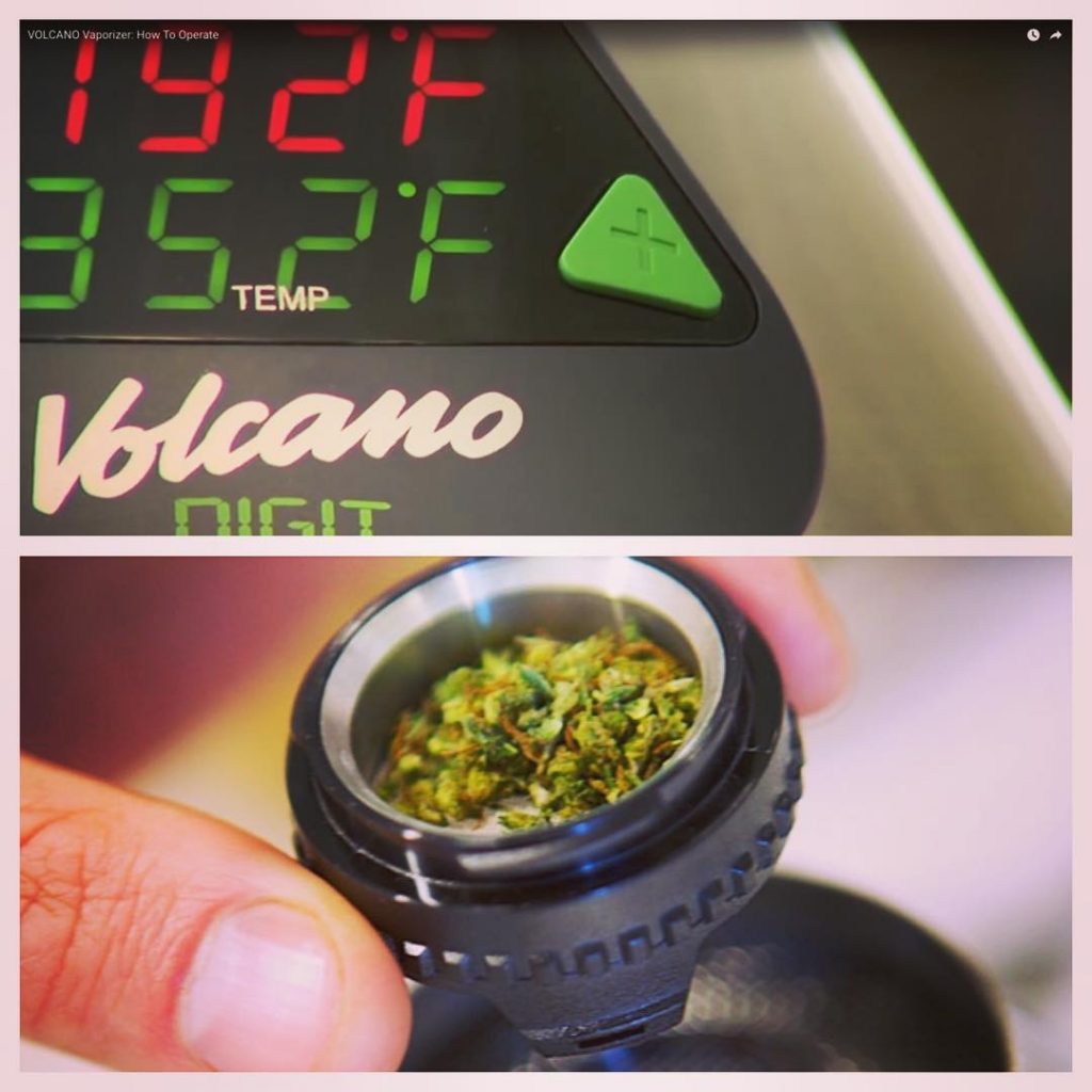 Volcano Vaporizer Review STILL The Best BalloonStyle Vaporizer!