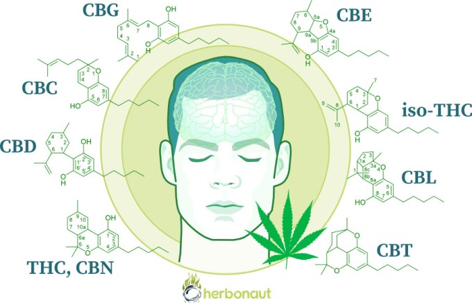 How Does Marijuana Affect the Brain?