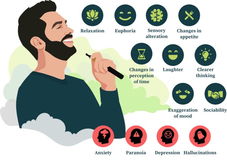 Acute Psychoactive Effects of Marijuana