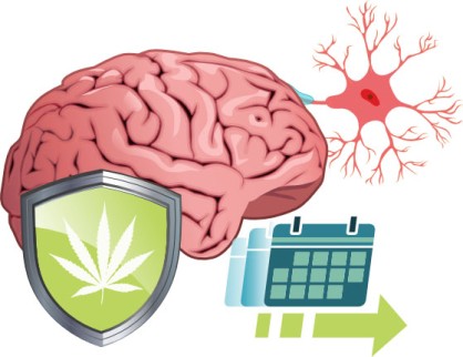  (Neuro)protective effects related to long term marijuana use