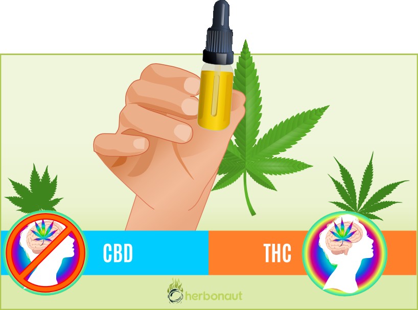 Difference CBD and THC