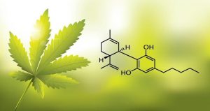 CBD Chemical Structure