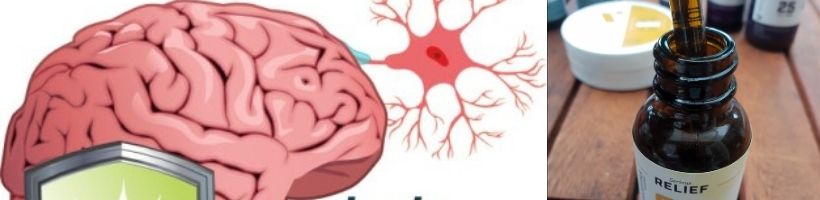 CBD's Effects on the Brain