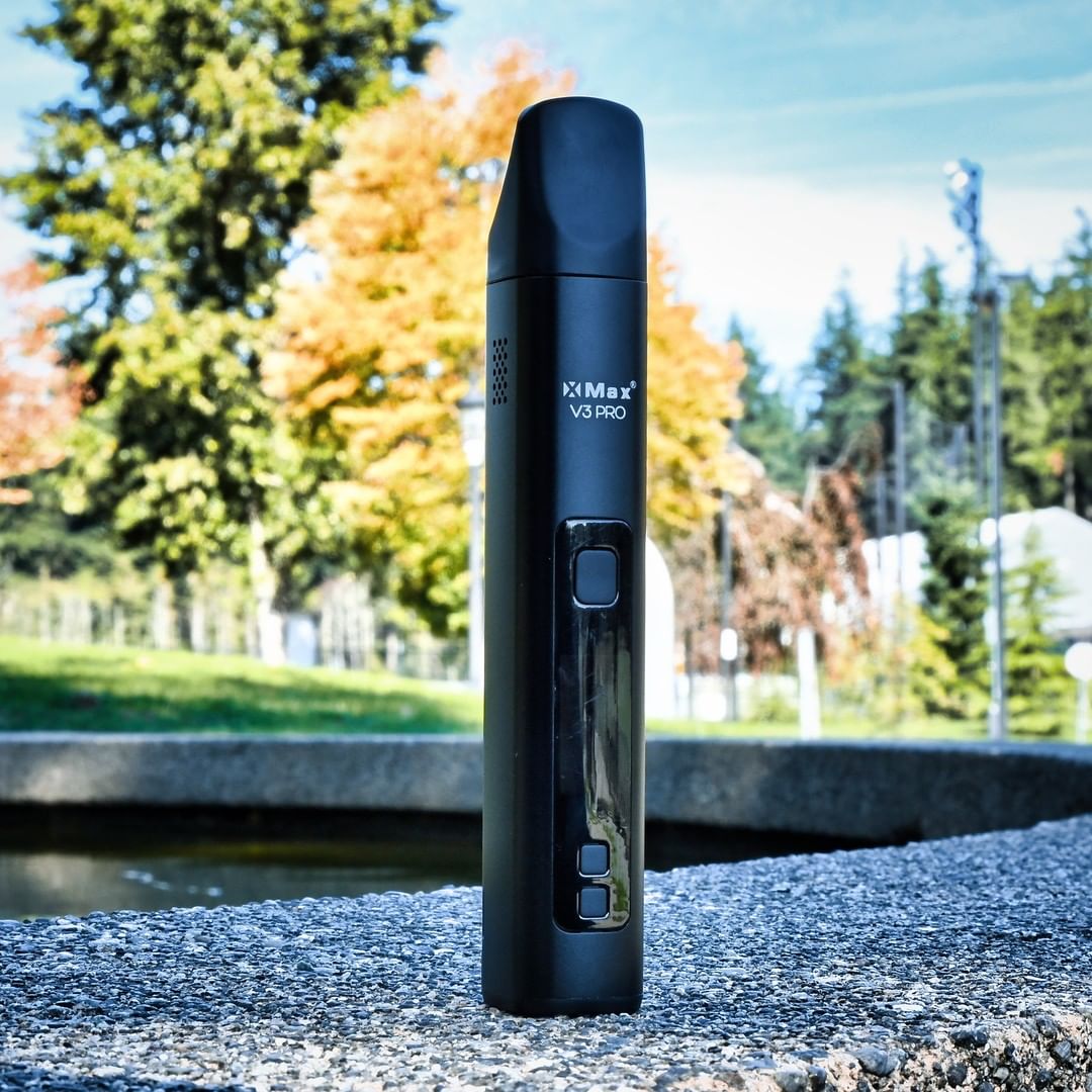 5 Best Dry Herb Vaporizers Under 100 In 2023