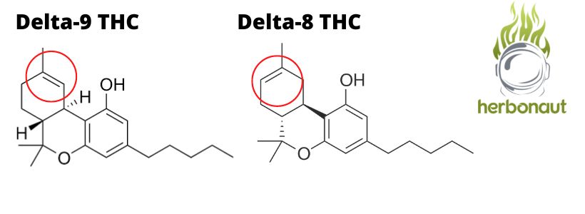 D9-THC vs D8-THC